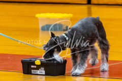 1_26-3-14-Scent-Work-576