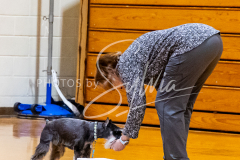 1_26-3-14-Scent-Work-579