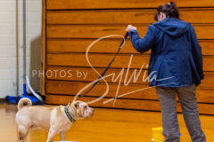 1_26-3-14-Scent-Work-594