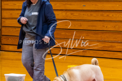 1_26-3-14-Scent-Work-598