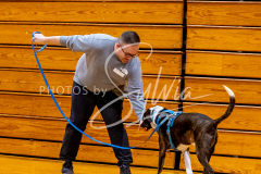 1_26-3-14-Scent-Work-620