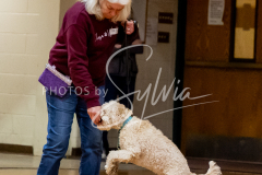 1_26-3-14-Scent-Work-628