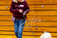 1_26-3-14-Scent-Work-639