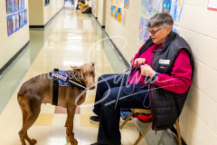 1_26-3-14-Scent-Work-66