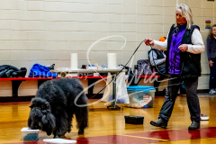 1_26-3-14-Scent-Work-669