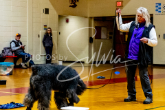 1_26-3-14-Scent-Work-672