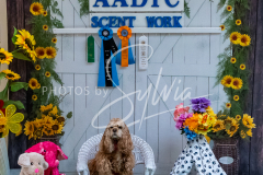 1_26-3-14-Scent-Work-688