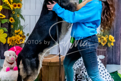 1_26-3-14-Scent-Work-741