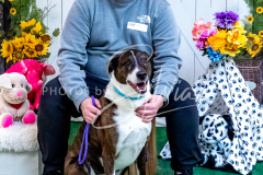 1_26-3-14-Scent-Work-812