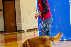 1_26-3-14-Scent-Work-86