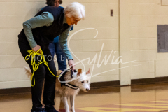 1_26-3-14-Scent-Work-94