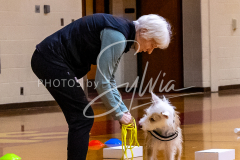 26-3-14-Scent-Work-100