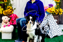 26-3-14-Scent-Work-1034