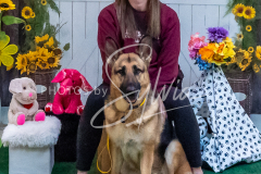 26-3-14-Scent-Work-1087