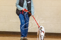 26-3-14-Scent-Work-143