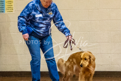 26-3-14-Scent-Work-157