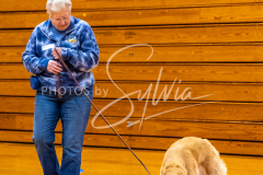 26-3-14-Scent-Work-168