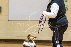 26-3-14-Scent-Work-181