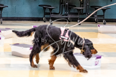 26-3-14-Scent-Work-286