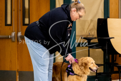 26-3-14-Scent-Work-332