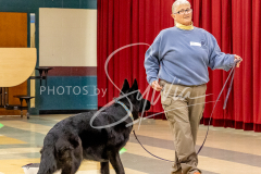 26-3-14-Scent-Work-354