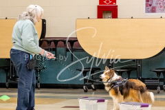 26-3-14-Scent-Work-360