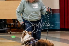 26-3-14-Scent-Work-367