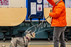 26-3-14-Scent-Work-391