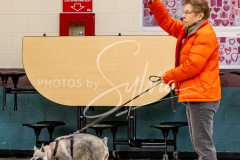 26-3-14-Scent-Work-393