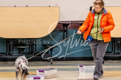 26-3-14-Scent-Work-400