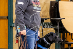 26-3-14-Scent-Work-475