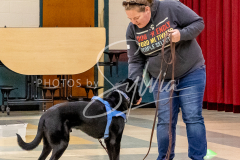 26-3-14-Scent-Work-489