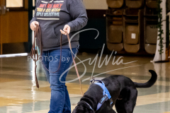 26-3-14-Scent-Work-505