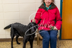 26-3-14-Scent-Work-515