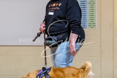 26-3-14-Scent-Work-518