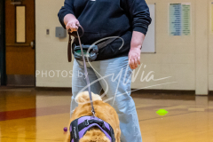 26-3-14-Scent-Work-523