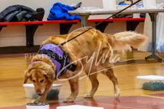 26-3-14-Scent-Work-529