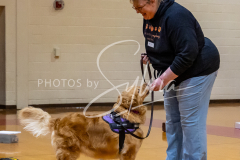 26-3-14-Scent-Work-542