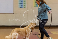 26-3-14-Scent-Work-550