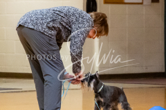 26-3-14-Scent-Work-569