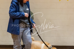 26-3-14-Scent-Work-589