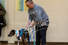 26-3-14-Scent-Work-601