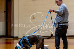 26-3-14-Scent-Work-612