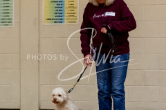 26-3-14-Scent-Work-625