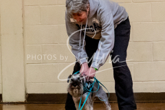 26-3-14-Scent-Work-643