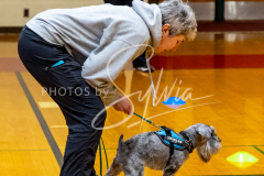 26-3-14-Scent-Work-652