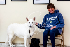 26-3-14-Scent-Work-709