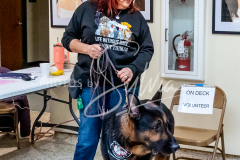 26-3-14-Scent-Work-72