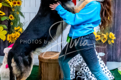 26-3-14-Scent-Work-744