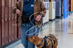 26-3-14-Scent-Work-82